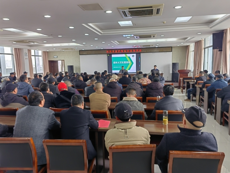 东冲村现场宣传林业有害生物防治