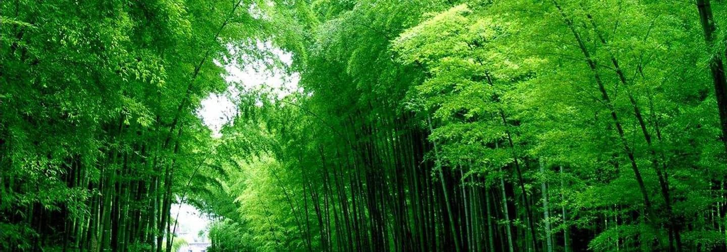 竹制品生活用具